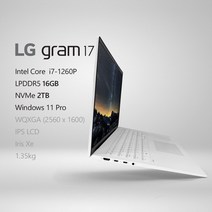 LG전자 2022 그램17(12세대) 17ZD90Q-GX76K [프리미엄 패키지] + 사은품 증정, Win11 Pro, 16GB, 2TB