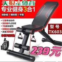 덤벨의자 각도조절벤치 홈트 홈짐 기구 벤치프레스 인클라인 헬스 어깨운동 숄더프레스 인클라인벤치프레스 홈트레이닝, A