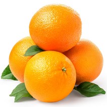 오렌지, 1개, 남아공 오렌지 중과 72과 (15Kg) 1박스