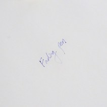 TPOG 대용량 지워지는 기화펜 순삭펜 수험생 리필 세트, 1개, 당근 볼펜 추가