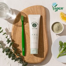 플렉스조선의 치약 무불소 비건인증 120g/임산부 가능, 플렉스조선의 치약 무불소 비건