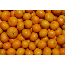 청경 감귤 5kg