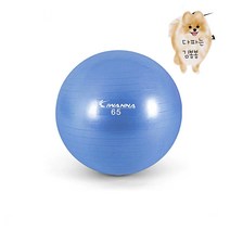 쉽게 터지지않는 짐볼 스트레칭 체형교정 밸런스 코어 운동 65CM 라벤더