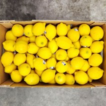 레몬 20개 2kg