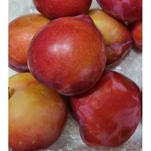 고당도 대석자두 중과 1kg 2kg 3kg 의성 김천 자두 로얄대석자두 하트자두, 1개