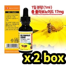 리퀴드 액상프로폴리스 스포이드2통 청소년 키즈 아동 선물 입병낫는법 목에좋은차 목이칼칼할때 할머니