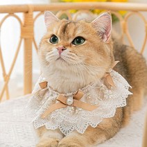 MOSAIRATION반려동물 액세서리 고양이 목걸이 강아지 목도리 반려동물 목걸이 학원풍 새해 반려동물 용품, 샴페인 레이스, S【레이스 길이 20cm 목둘레 20-25cm 적합】적