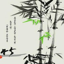 유화 명화 그리기 세트 피포페인팅 사군자(죽) 그리기 쉬운 그림 색칠하기, 단품