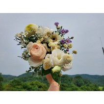 유스풀몰 꽃이 피었습니다 생화 꽃배달싼곳 꽃 정기구독 정기배송 농장 경매 직배송