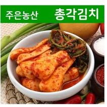 가락시장 업소용 가정용 김치전문점 주은농산 아삭한 맛이 일품인 총각김치 (무료배송 국내제조) 5kg, 총각김치 5kg+종이박스 포장