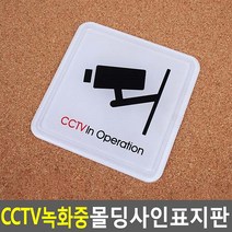 픽토그램 2 size CCTV녹화중 표지판 감시카메라녹화중, 60x60mm, 1개
