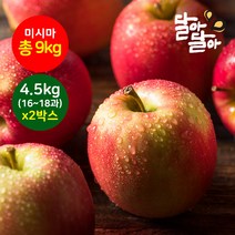 달아달아 못난이사과 미시마 4.5kg(16-18과) 2박스, 단품