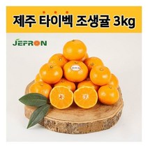 청정제주 제프런 타이벡조생귤 3kg, 1개