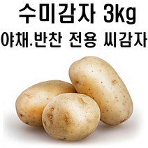 (주)왕산종묘 수미감자 3kg 10kg 20kg 강원도 정품 씨감자 대서 자영 홍영 수미 반찬용감자 텃밭 모두싹 비료 씨감자 파종, 1박스