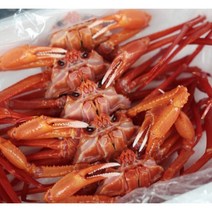 [선주직판] 국내산 구룡포 홍게 자숙전 3키로, 프리미엄 연지홍게 3kg_수율80%내외, 1개