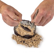 티라노사우루스 이빨 화석 발굴놀이 고고학자 아이큐 과학놀이 놀이방 캐기 체험 완구