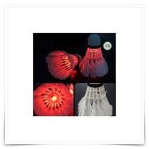 야광 셔틀콕 야간 배드민턴콕 2P 네트 LED 지주 배드민턴공, 깃털(2P)