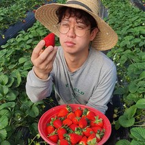 달콤한 논산 딸기 제철 프리미엄 산지직송 죽향 딸기 500g 800g 1kg 1.6kg 2kg, 죽향(상)500g
