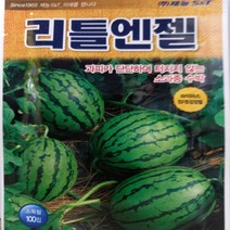 2023년 복수박씨앗 리틀렌젤100