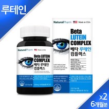 루테인 눈영양제 눈 건강 눈보호 눈피로 노안 시력보호 베타카로틴 비타민E 셀레늄 비타민 황반색소 밀도 유지 기능식품, 2Ea