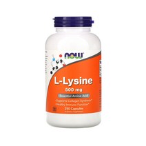 나우 푸드 엘라이신 L-리신 500mg 캡슐 250개입 L-Lysine, 1개, 기본