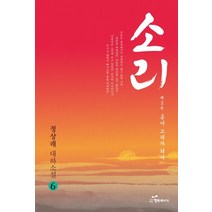 소리 6 제2부: 혼이 소리가 되어:정상래 대하소설, 행복에너지, 정상래