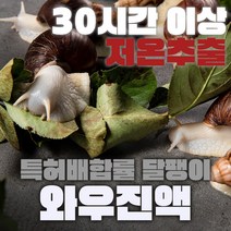 달팽이즙 와우진액 오리지널 힘찬마루 달팽이진액 특허등록 엑기스, 60개