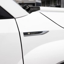 [팬덤] 티볼리에어 로고 휀다 인테리어 신차선물 DIY 튜닝 장식 드레스업 몰딩, 블루(2P)