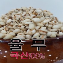 율무 연천율무 국산율무 햇율무 율무다이어트 율무 햇율무 연천율무 국산율무, 1봉, 2kg