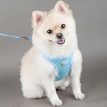 메쉬 조끼형 강아지겨울하네스 세트 훈련용 교육용 행동교정 착용감 멍멍이 애견 강쥐, S