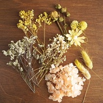 [올리브덴] 말린꽃 청첩장꽃 DIY 프리저브드플라워 박스 4color, 옐로우