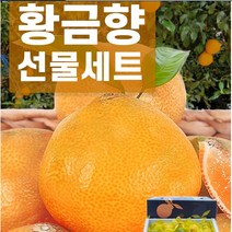 향금향 제주 서귀포 향금향제철 귤 추석 명절 선물 과일선물 고당도 산지직송, 항금향소과25/30, 1박스, 5kg