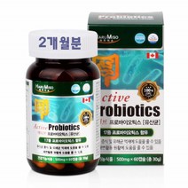 프로바이오틱스 유산균 60캡슐 100억 유산균수 락토바실러스 비피더스 유익균먹이 장에좋은 프롤린 lgg 성장기 어린이 온가족 생유산균