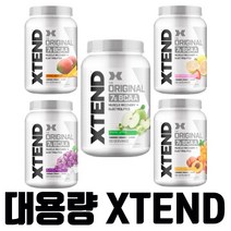 Scivation 싸이베이션 엑스텐드 오리지널 BCAA 90 서빙 1.3 kg 보충제, 1병, 레몬 라임맛