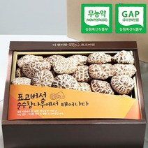 [웰굿]무농약GAP인증 표고버섯 천자고 백화고세트백화고250g, 없음