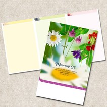 주보용지 3단 주보 교회 예배 주보인쇄 기성 디자인 칼라 청년부 주보 제작 기독교용품, EW-35