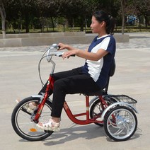 삼륜자전거 성인용 커플 3발, V