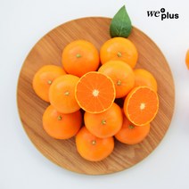 제주 한라봉 레드향 천혜향 3kg 5kg 10kg 가정용 선물세트, 선택3. 천혜향 - 소과(S~L) 3kg