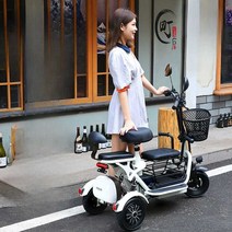 2인승전기자전거 자토바이 48V 전동 2인승 유아동승, 상세 페이지 참고, 40KM 전기자전거