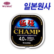 챔프 최강저력 바다 민물 낚시 목줄 원줄 바늘 낚시줄 가성비 최강 카본 나일론 낚싯줄 카본줄, 극강챔프목줄 2.0호