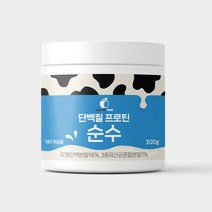 헬시푸드 단백질프로틴 순수 유청단백질 농축분말 유산균 비타민 함유 300g, 300g x 2개, 2개