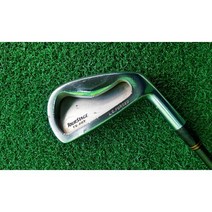 브릿지스톤 아이언단품/브리지스톤/ TS-202 / 4번 그라파이트 (샤프트 강도 확인안됨), 단일 제품, 선택완료