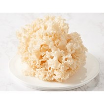 최고급생꽃송이버섯, 고급보자기, 500g, 1개