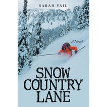 (영문도서) Snow Country Lane (A Riveting Mystery Crime and Suspense Thriller - Book 2) Paperback, Archway Publishing, English, 9781480886360
