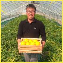 정말 맛있는 참외만 보내드려요!! 못난이참외 성주 성주참외 16브릭스이상 참외10kg, 소과10kg