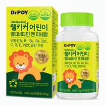 닥터포이 웰키커 어린이 멀티비타민 & 미네랄 키즈 영양제, 1병