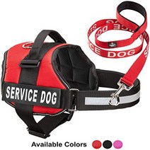 Service Dog Vest With Hook and Loop Straps Matching Service Dog Leash Set - Harnesses From XXS to X, 1