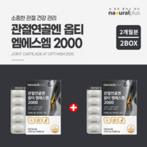 손가락 손목 무릎 관절 연골 뼈 통증 에 좋은 좋아지는 움직임 불편감 감소 노화 기능 개선 엠에스엠 비타민D 아연 디메틸설폰 opti msm, 1+1(2개월분)