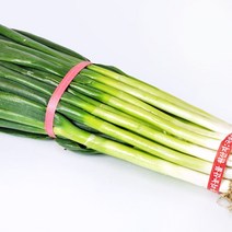 국내산 대파 2kg