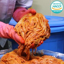 전통김장 전라도 묵은지 김치 100% 우리 농산물 익은 신김치, 전라도 묵은지 5kg